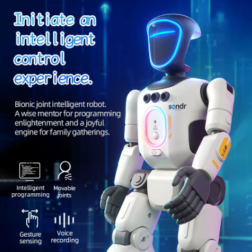 ROB&Ocirc; DE CONTROLE