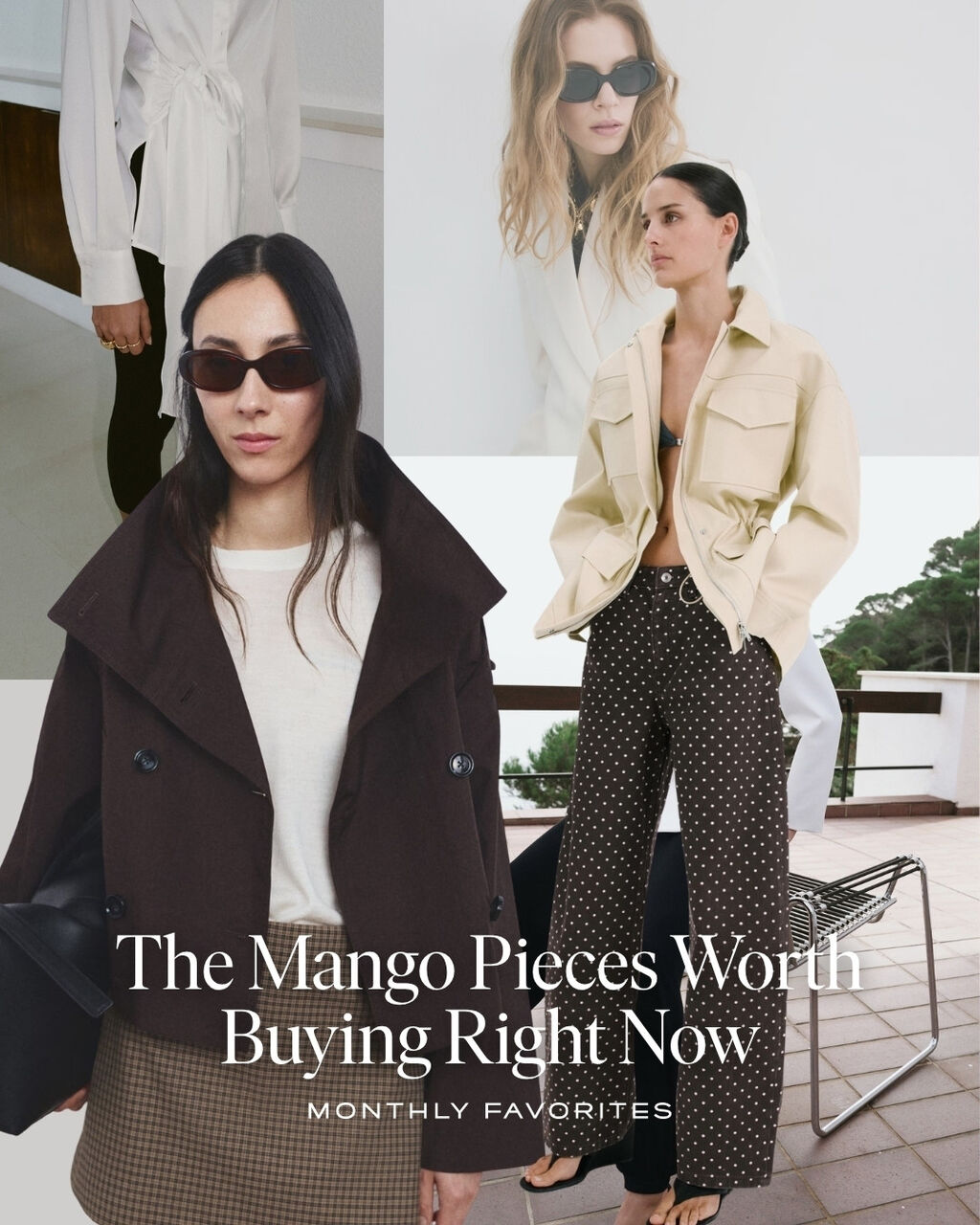 Mango Favorites 
