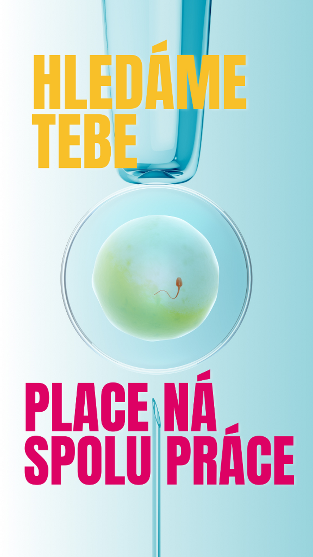 Hled&aacute; se Ambasadorka pro Europe IVF: Žena, kter&aacute; vr&aacute;t&iacute; naději tam, kde se vytr&aacute;c&iacute;