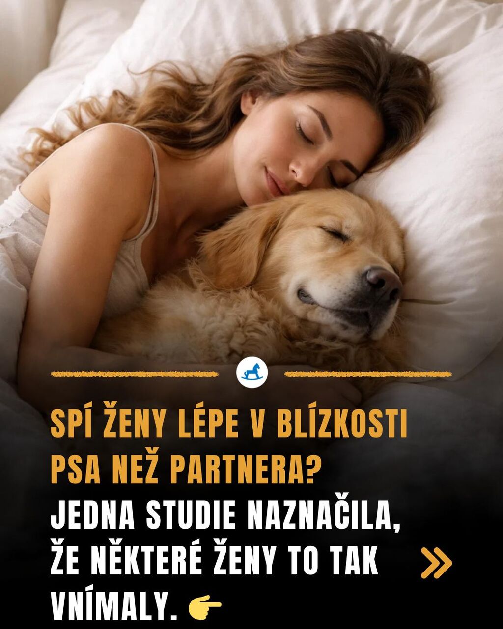 Manžel nebo pes? Vědci zjistili kdo je v tv&eacute; posteli lep&scaron;&iacute;m společn&iacute;kem!
