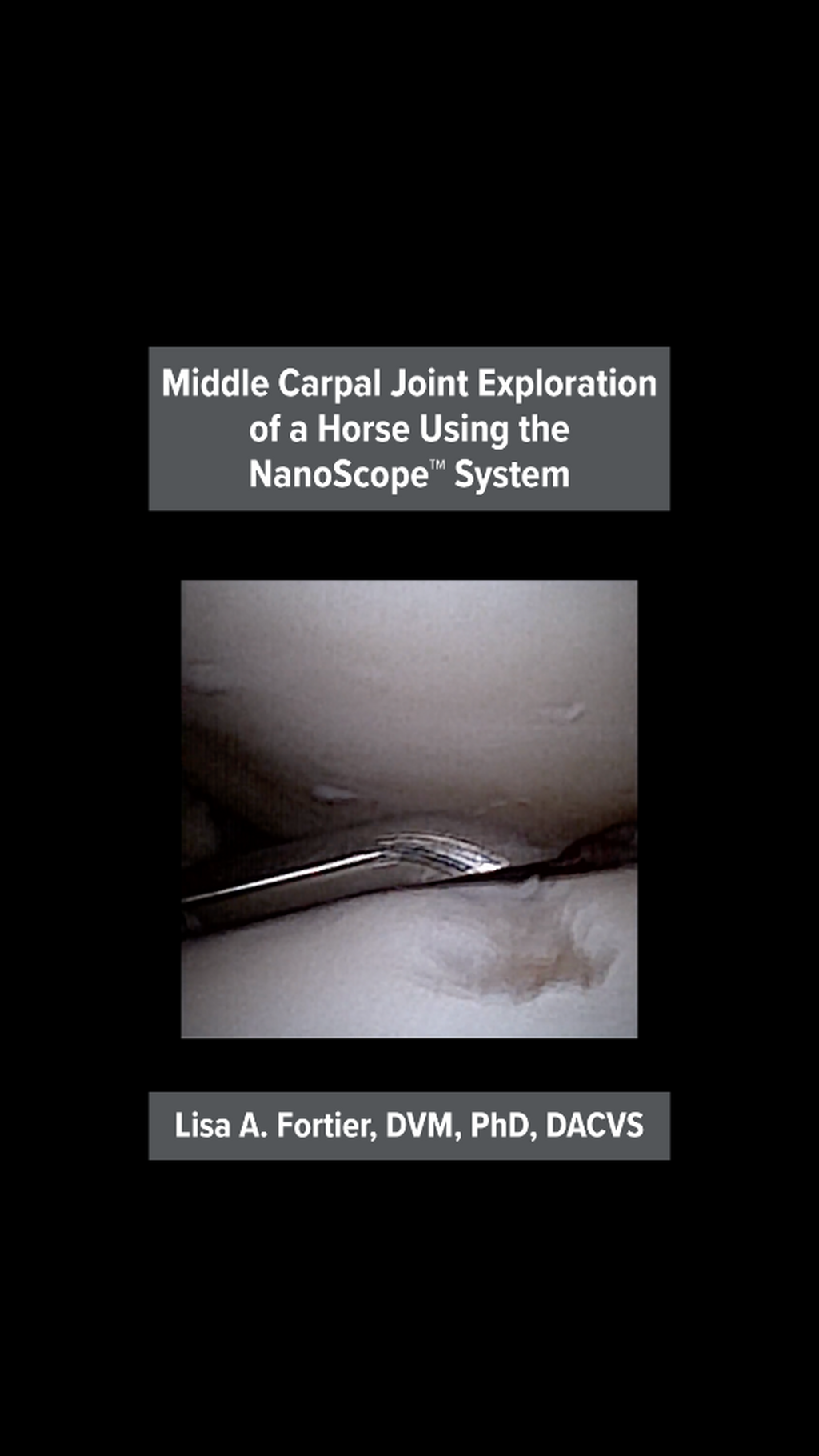 Middle Carpal Joint Exploration Of a Horse Using the NanoScope System&trade;