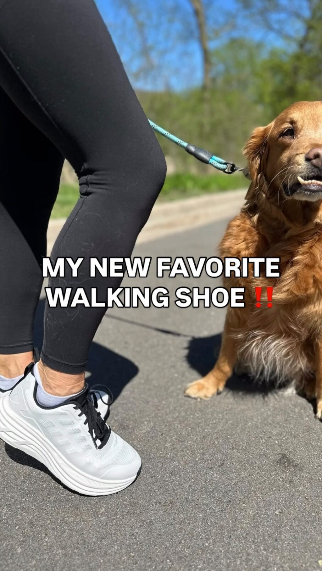 My Favorite Walking Shoe