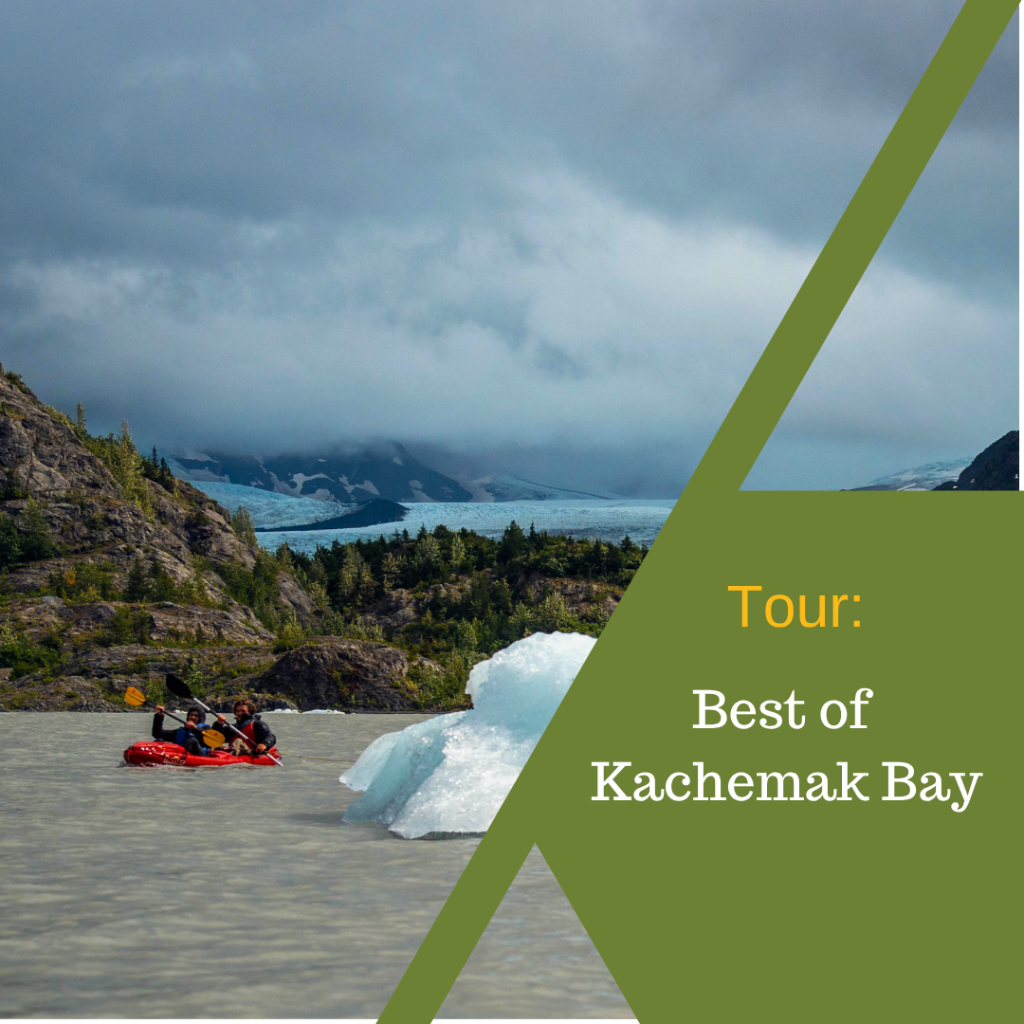 Best of Kachemak Bay