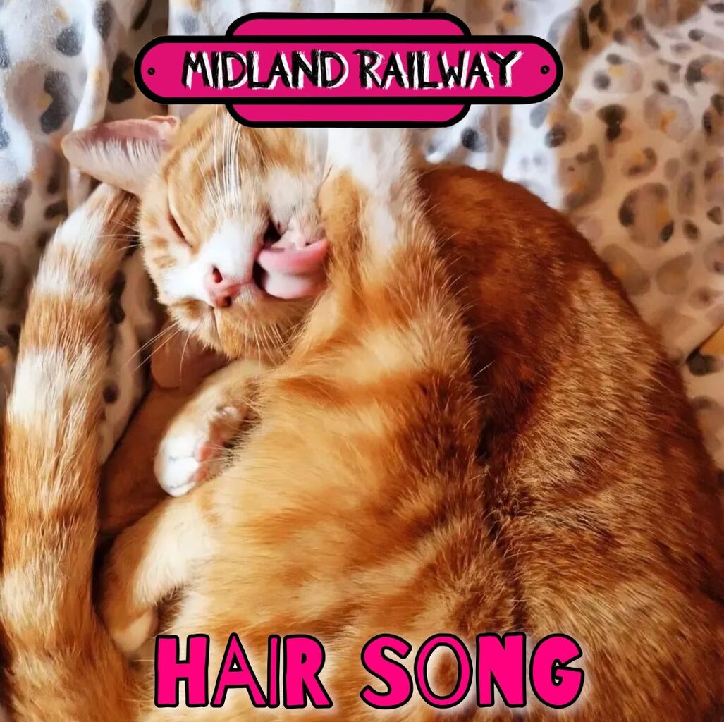 MIDLAND RAILWAY - HAIR SONG 