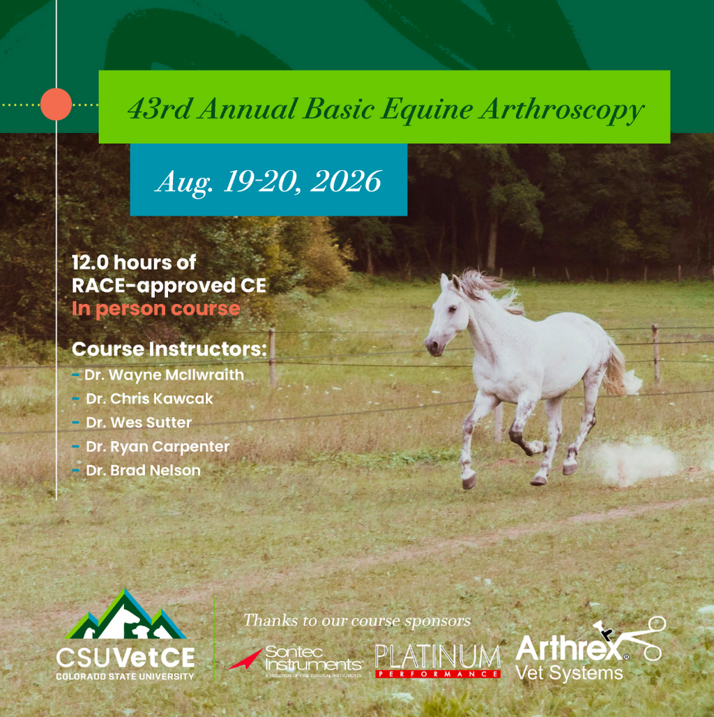 CSU: Basic Equine Arthroscopy