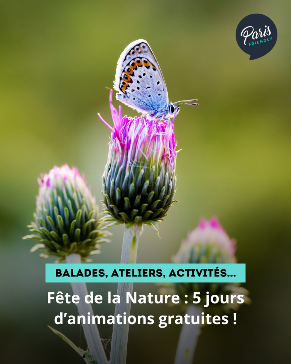 F&ecirc;te de la Nature : 5 jours d&rsquo;animations gratuites !