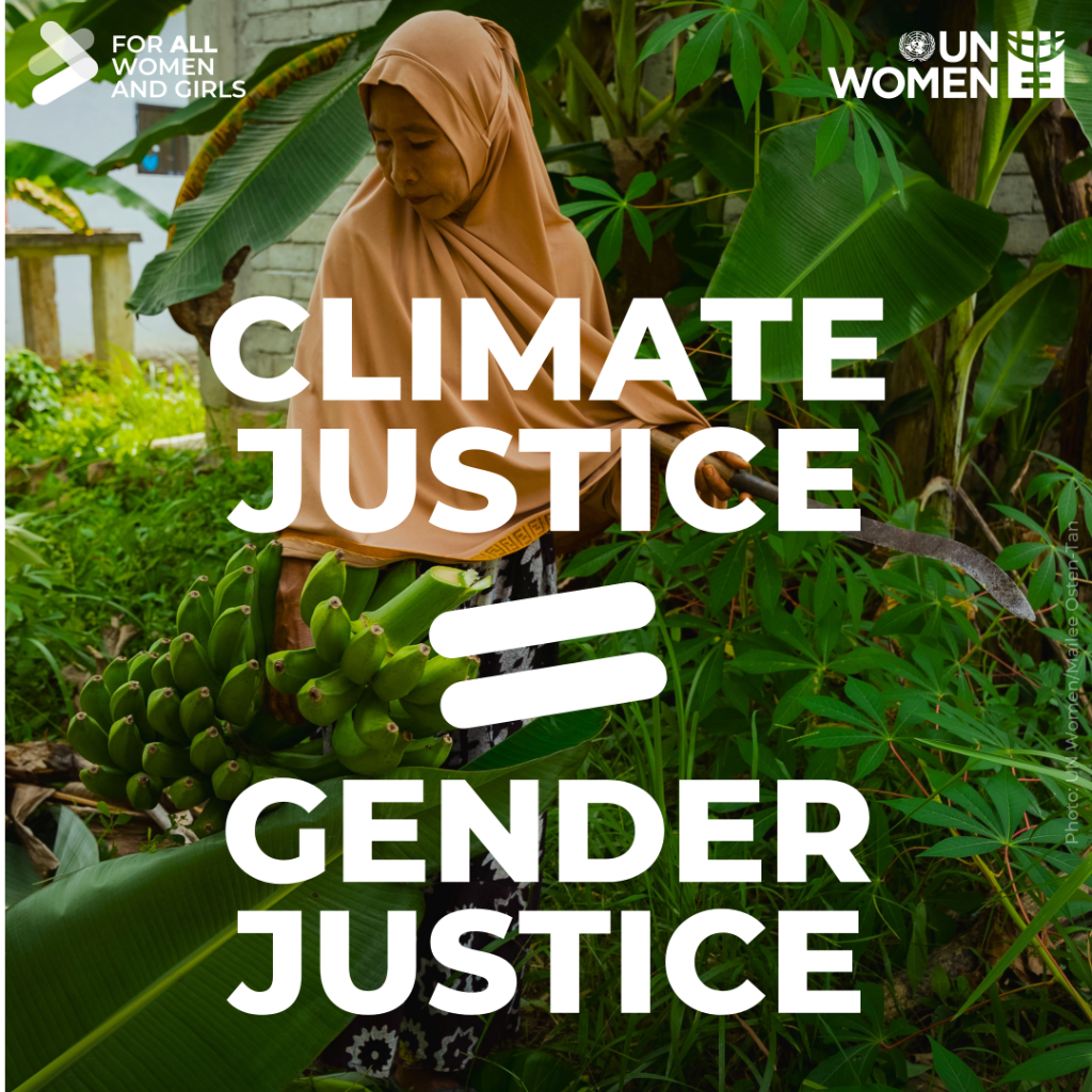 Women, climate change, and the search for accountability