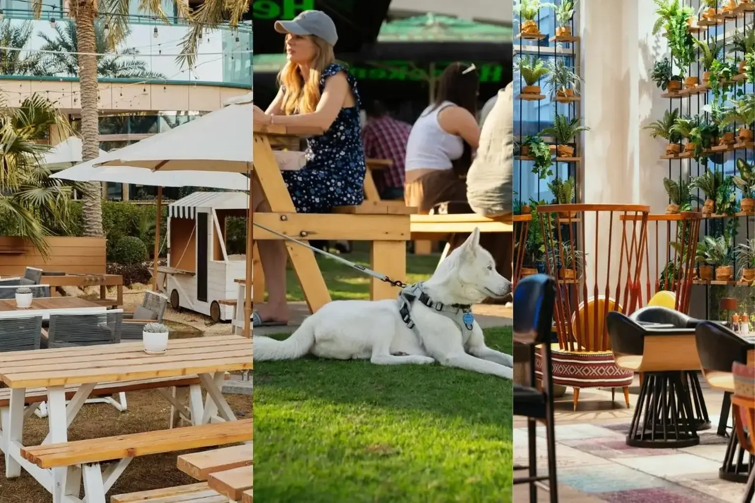 From Giraffe Breakfasts to Cat Caf&eacute;s: Dining with Animals in Dubai Feels Surreal