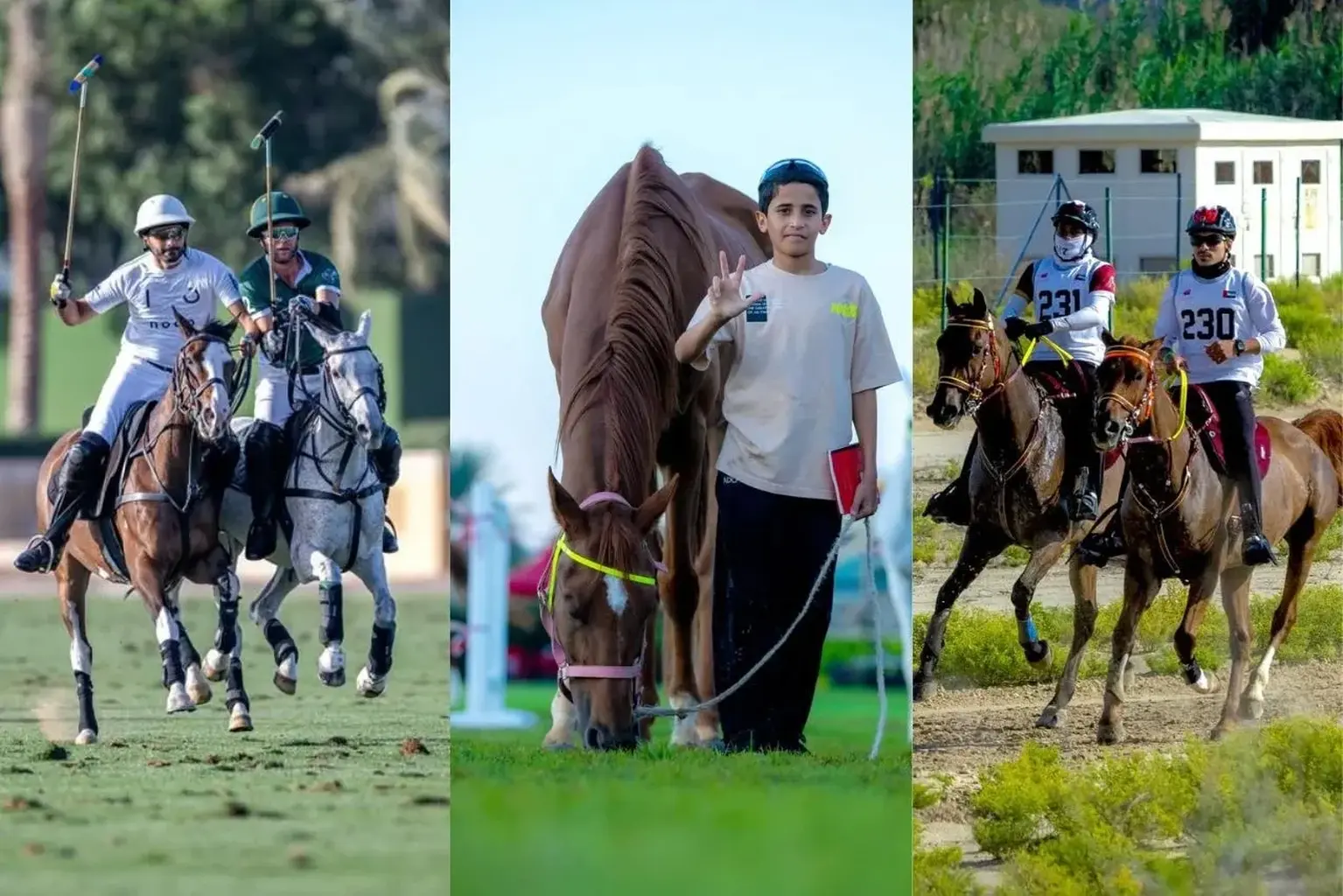 What Horse Riding in Dubai Feels Like: Best Clubs, Spots Revealed