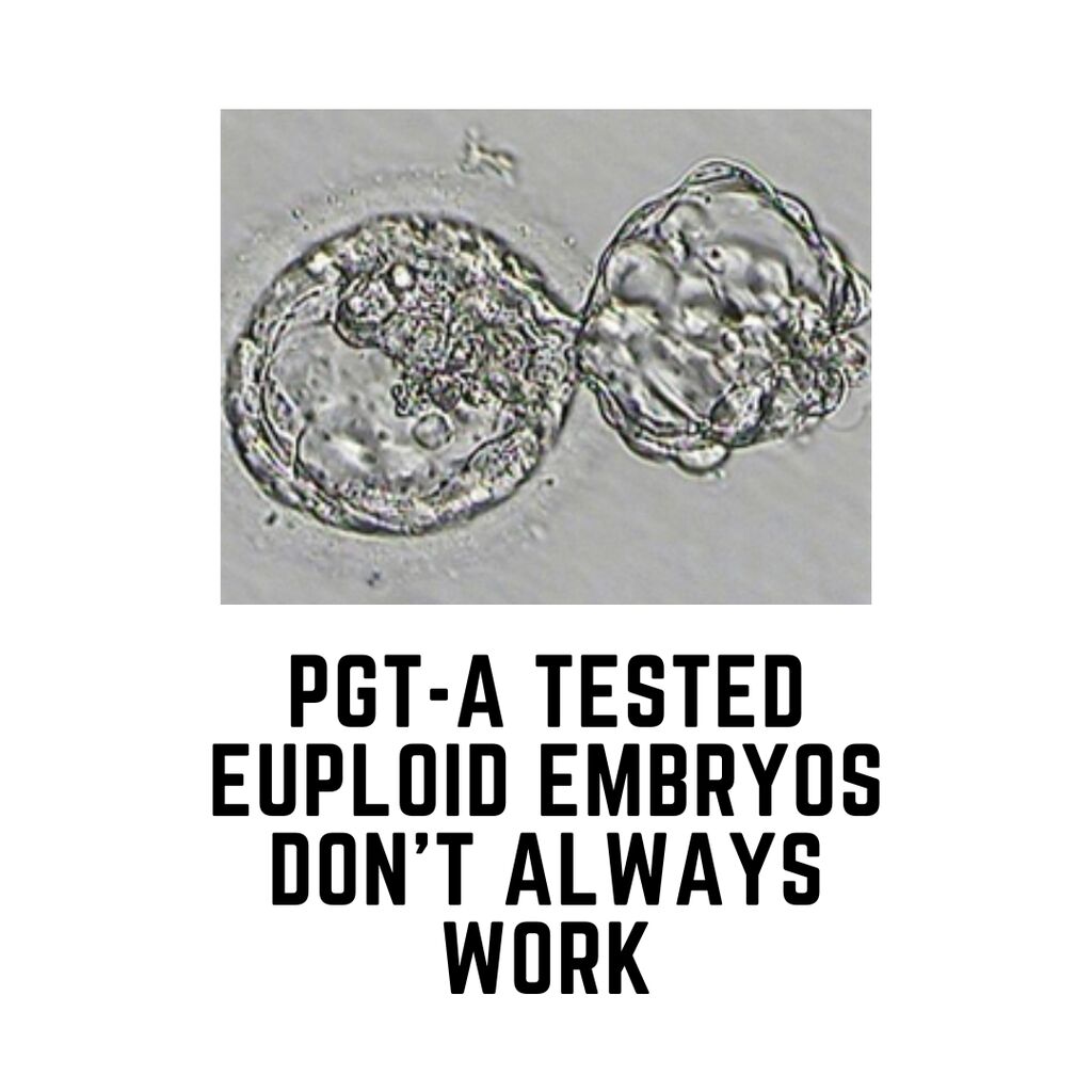 Why do embryos in IVF fail to implant or miscarry?