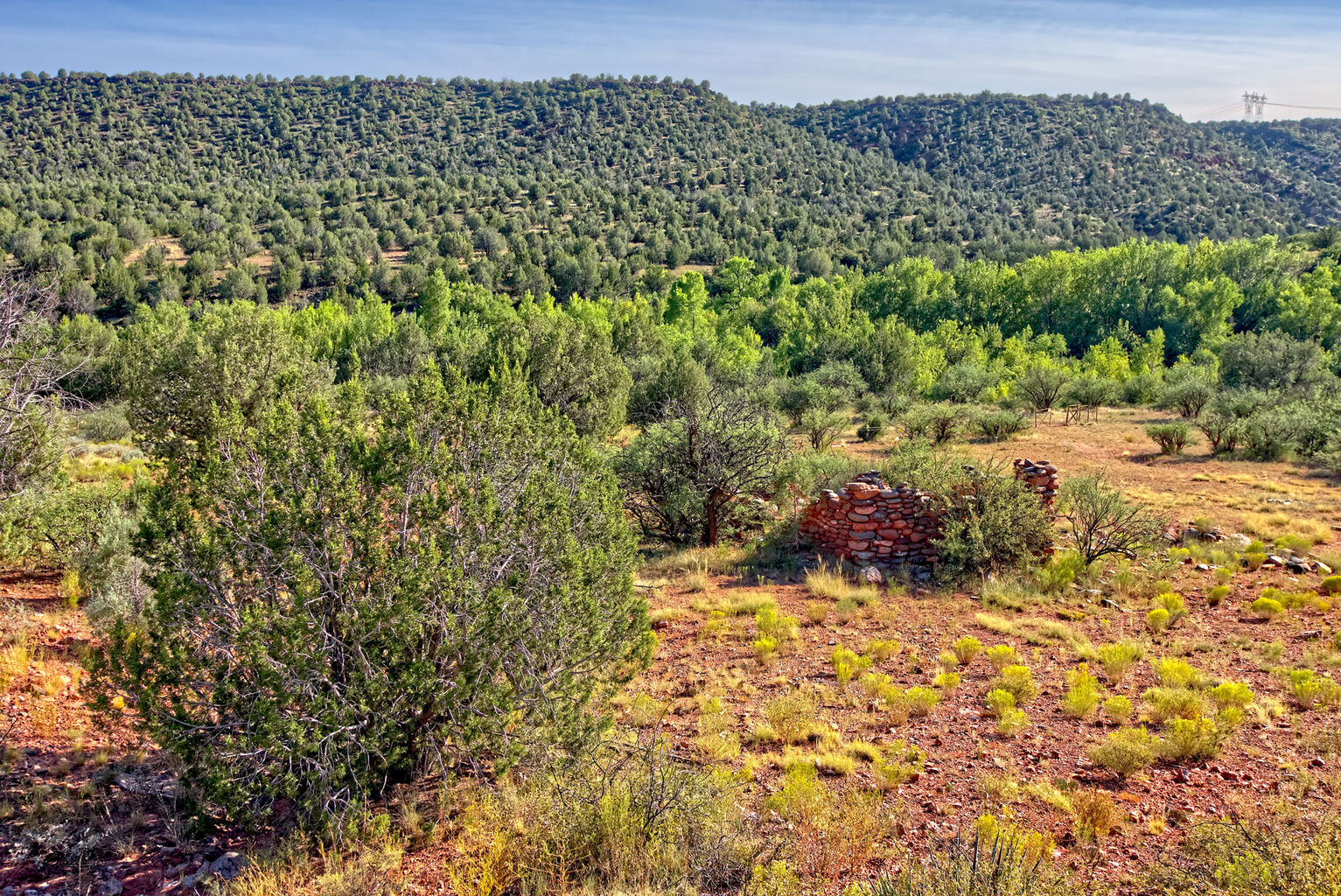 Restoring Native Grasslands and Riparian Systems in Central Arizona