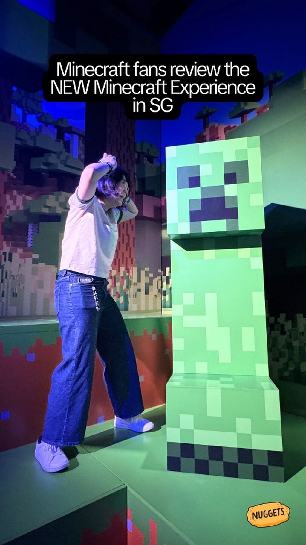 Minecraft Experience in Singapore