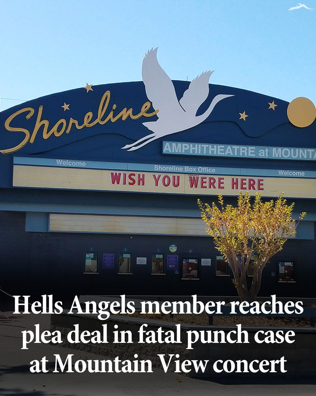 Hells Angels member reaches plea deal in fatal punch case at Mountain View concert
