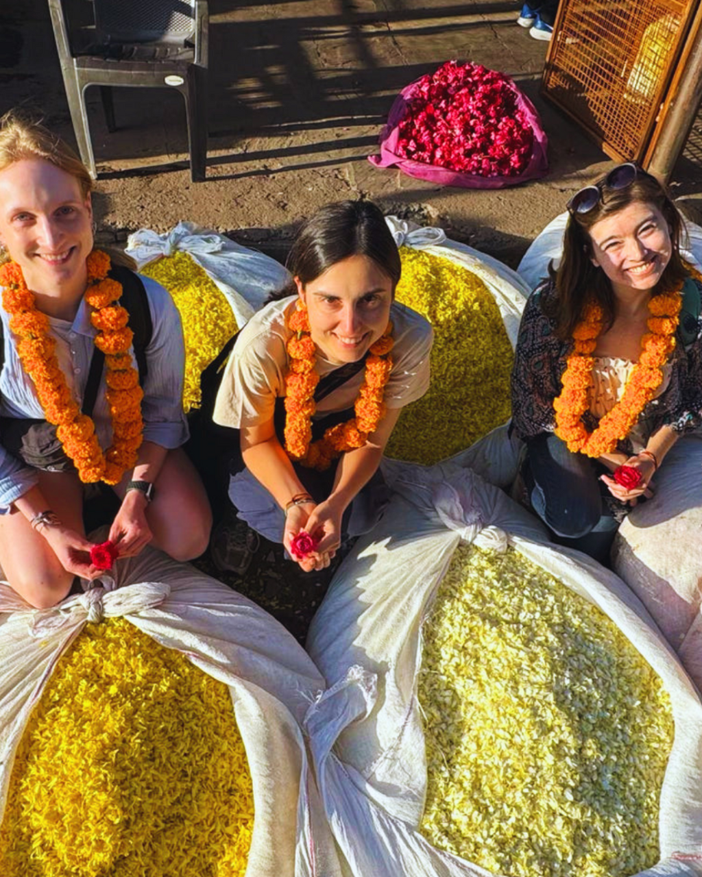 Adventures Across India!