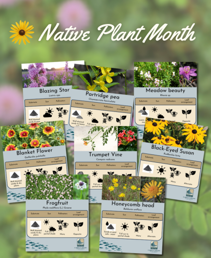 Native Plant Cards Download