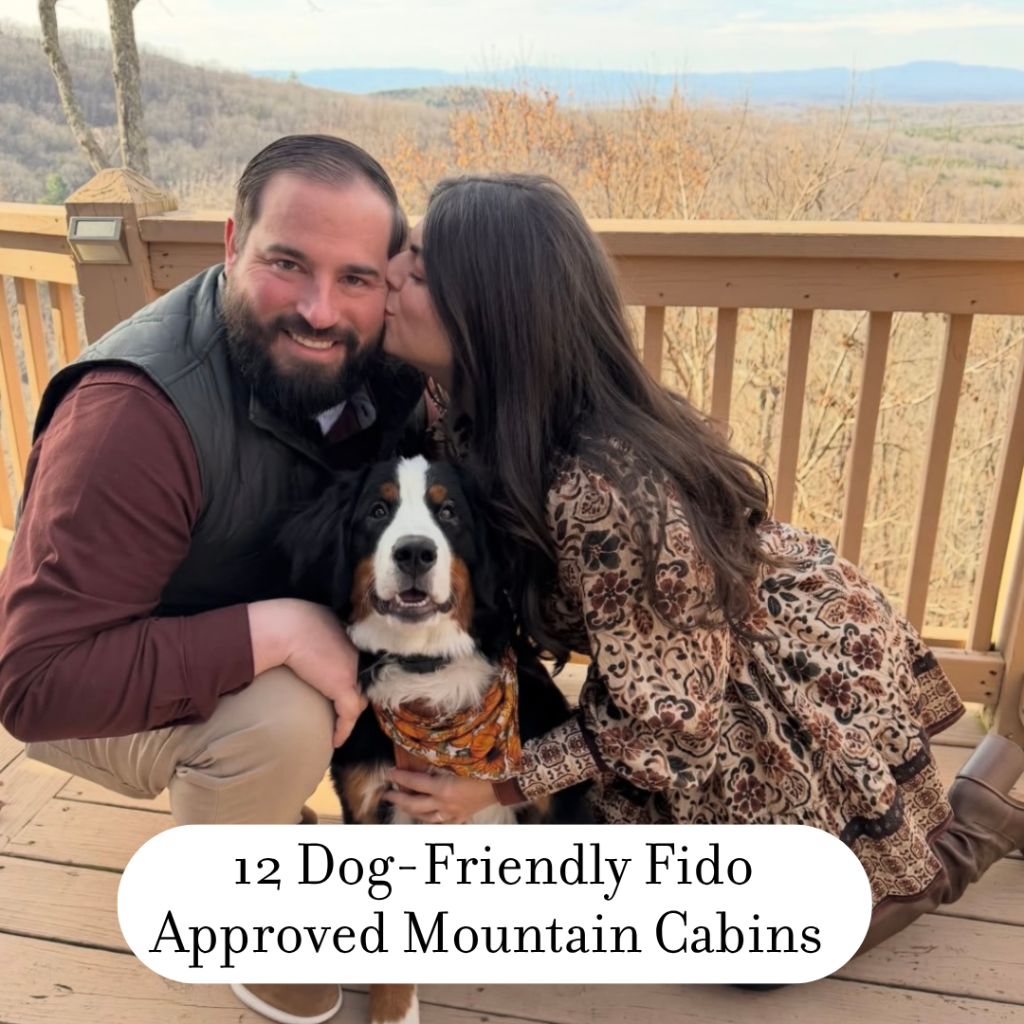 12 Dog-Friendly Fido Approved Mountain Cabins