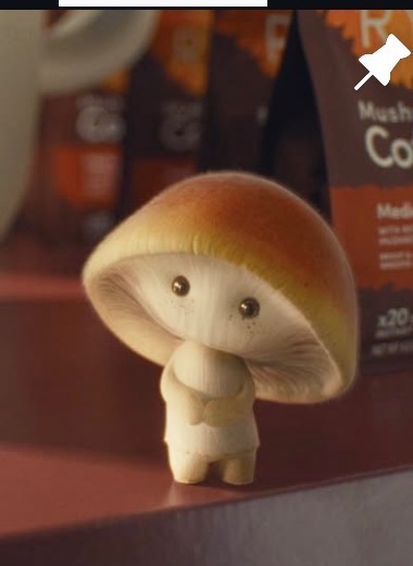 Ryze Mushroom Coffee!