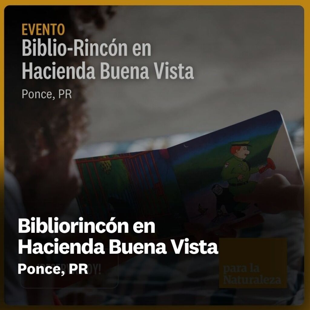 Bibliorinc&oacute;n en Hacienda Buena Vista
