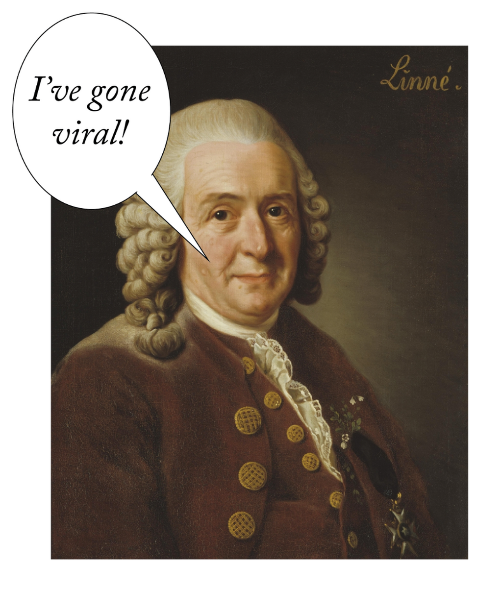 Virus taxonomy and the ICTV