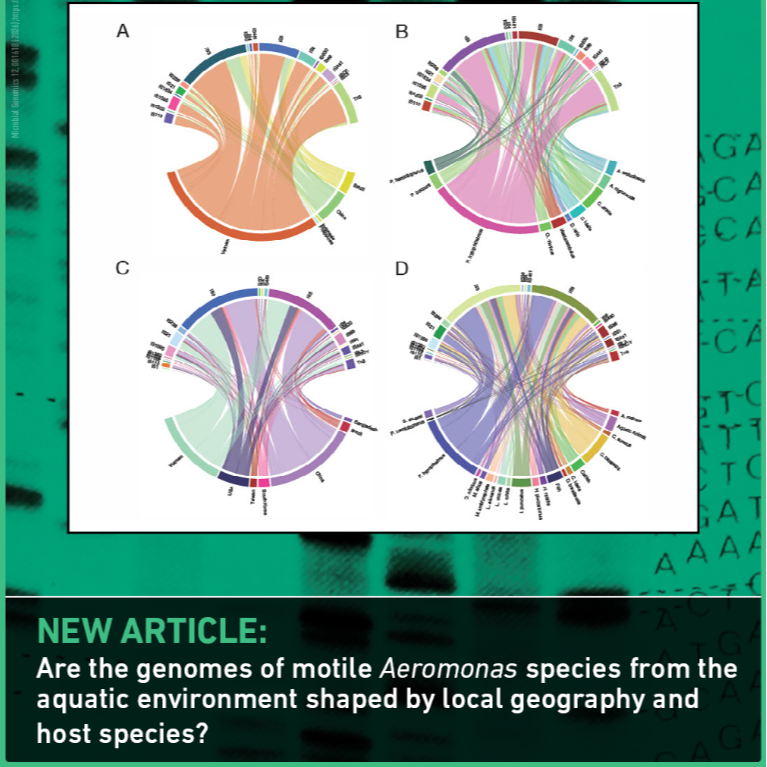 Are Aeromonas species shaped by geography and host?