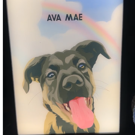 20% off Crown and Paw Pet Artwork! 