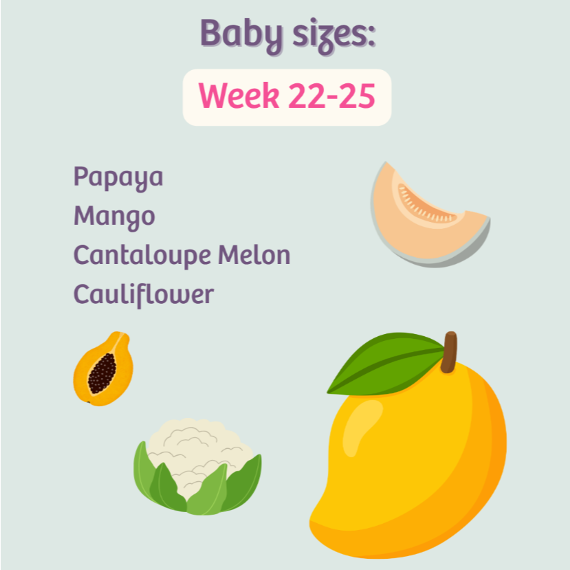 Your pregnancy week-by-week