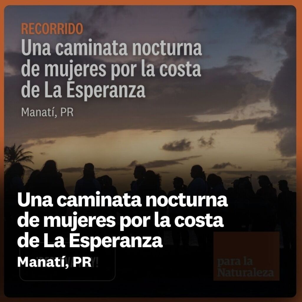 Una caminata nocturna de mujeres por la costa de La Esperanza