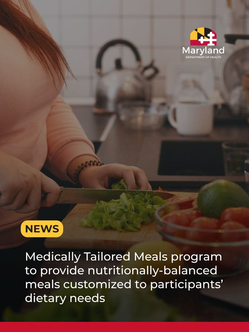 Medically Tailored Meals 