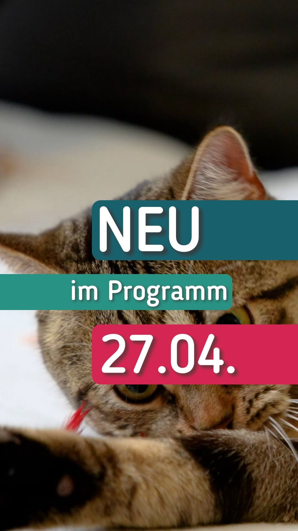 TV-Programm f&uuml;r NRW