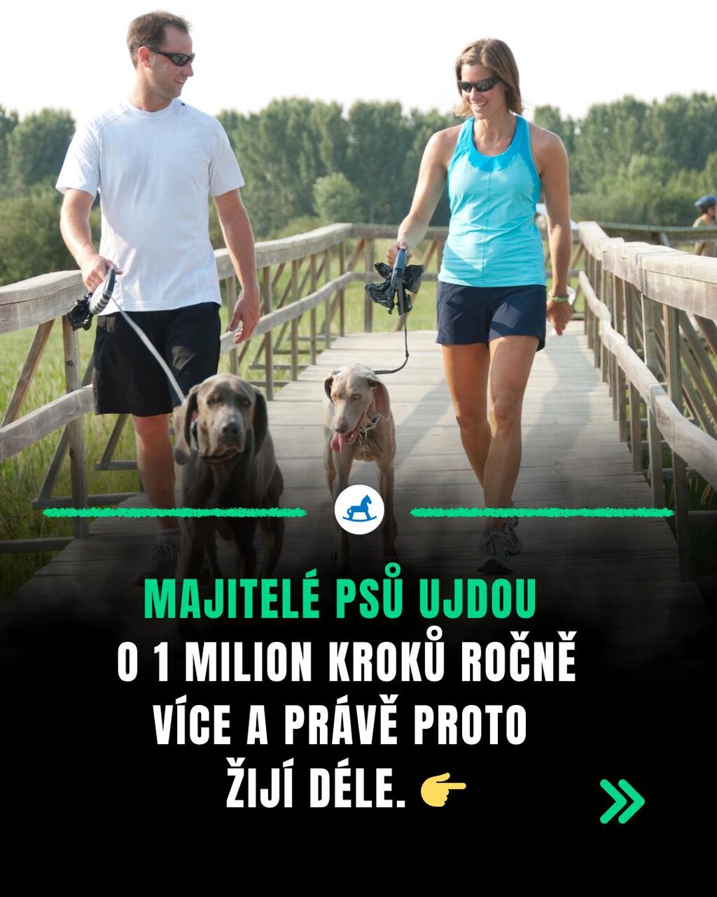 Chcete ž&iacute;t d&eacute;le a m&iacute;t o tis&iacute;ce kroků denně v&iacute;c bez n&aacute;v&scaron;těvy fitka? Stač&iacute; v&aacute;m k tomu jedin&eacute; zv&iacute;ře