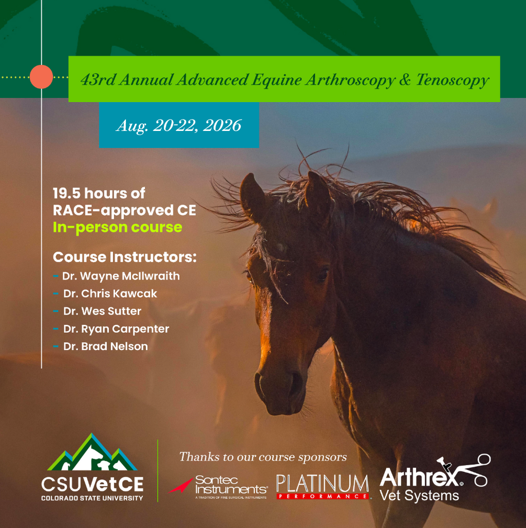 CSU: Advanced Equine Arthroscopy & Tenoscopy