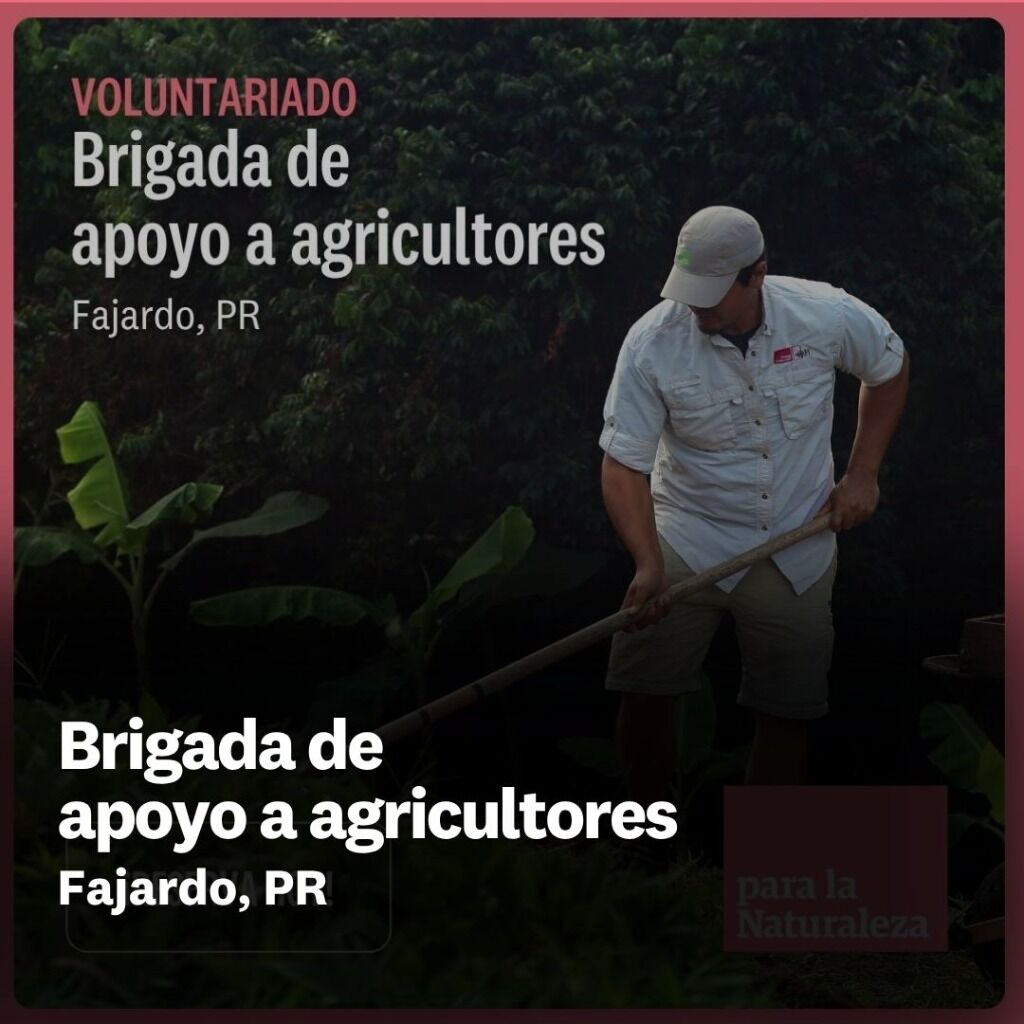 Brigada de  apoyo a agricultores