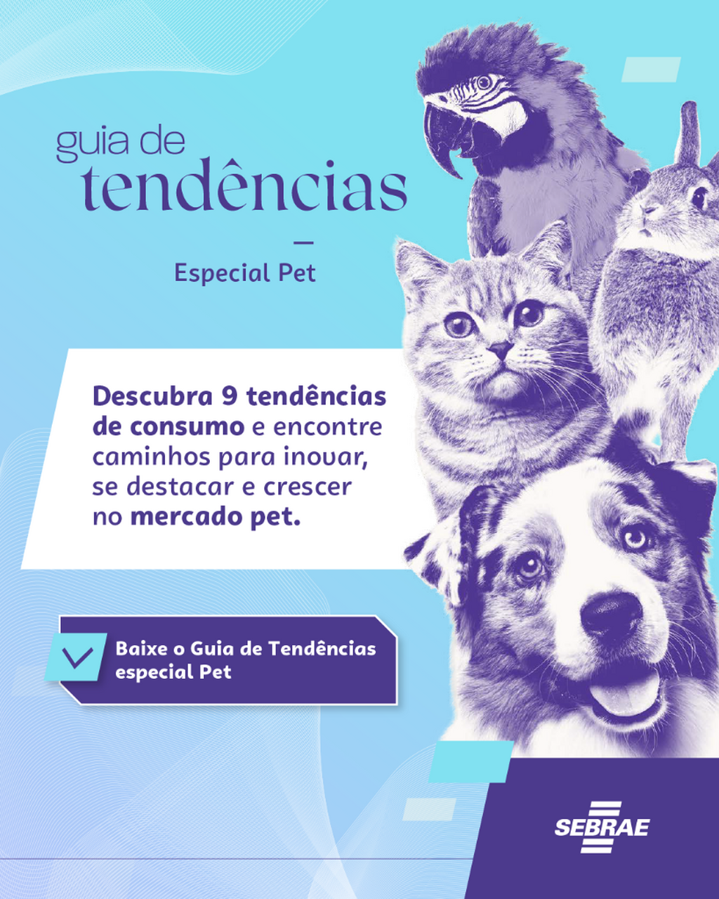 Guia de Tend&ecirc;ncias Especial PET