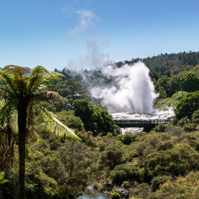 New Zealand's North Island.