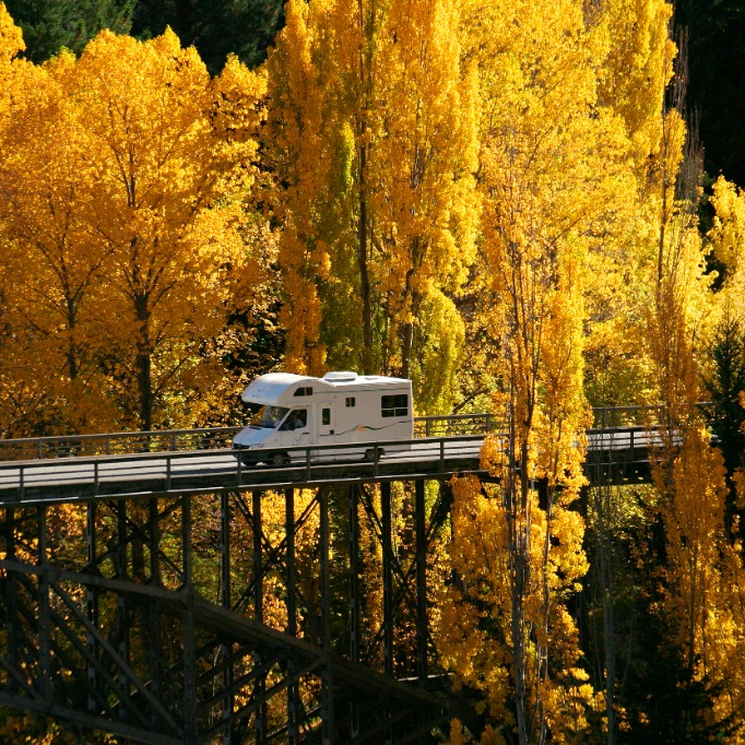 Ways to get around New Zealand.