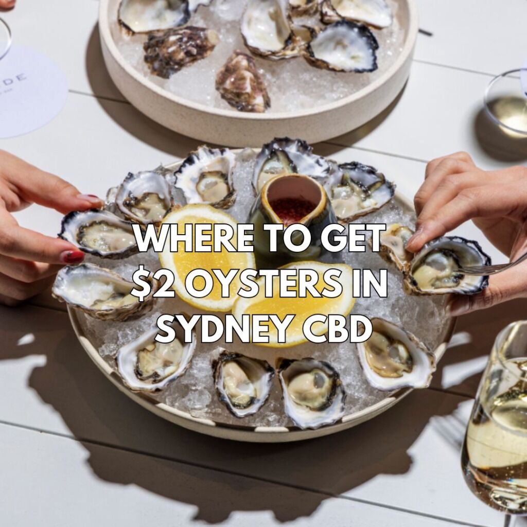 Where to get the cheapest oysters in Sydney