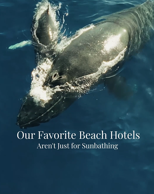 The Best Beach Hotels in the World &mdash; and When to Visit