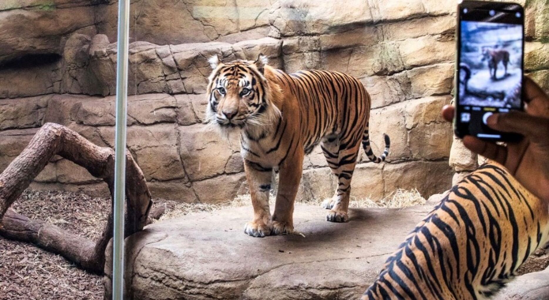 ZSL celebrates 200 years