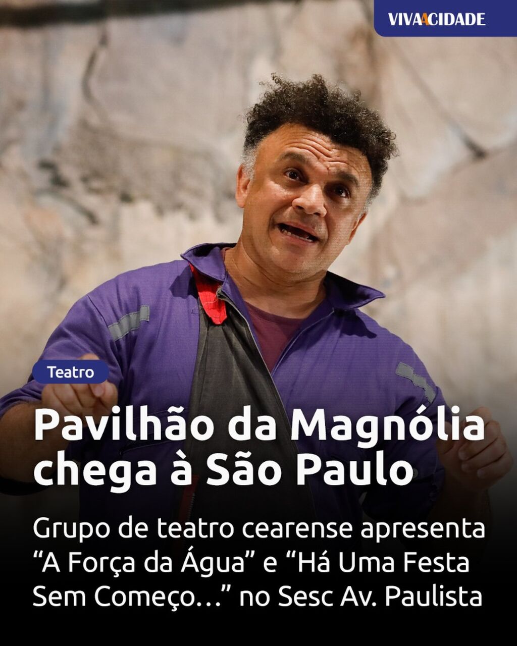 Pavilh&atilde;o da Magn&oacute;lia chega &agrave; S&atilde;o Paulo