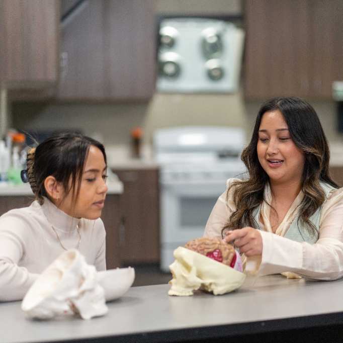 Learn More | Doctor of Occupational Therapy