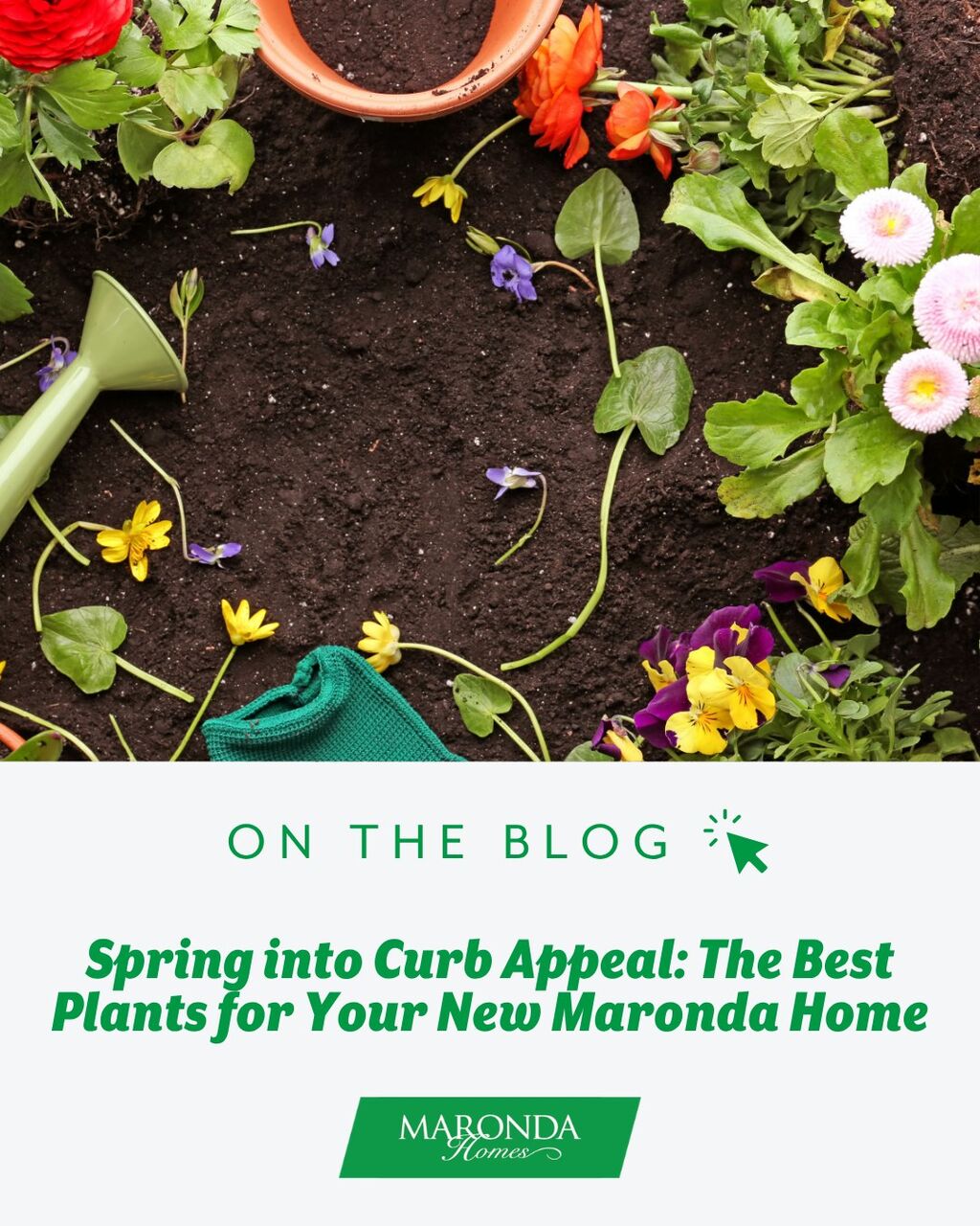 Spring Into Curb Appeal