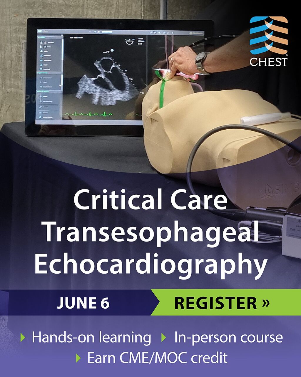 Critical Care Transesophageal Echocardiography Sim Course 