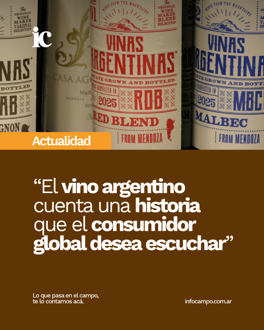"El vino argentino cuenta una historia que el consumidor global desea escuchar" | Infocampo