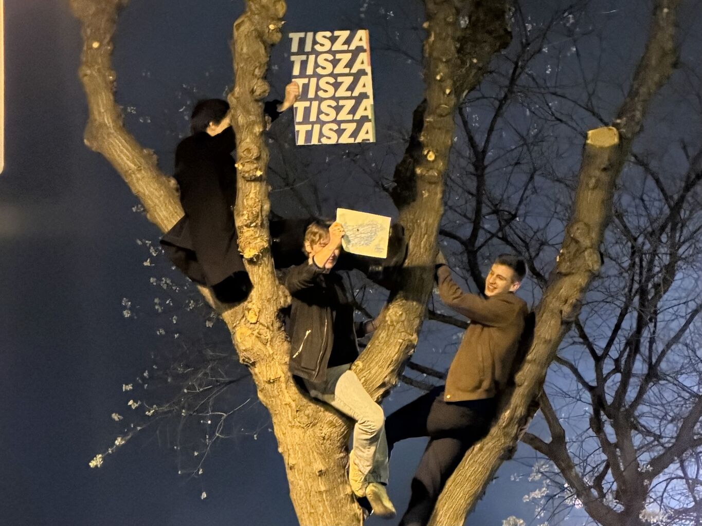 Hungary After the Election: Voices from the Cultural Field