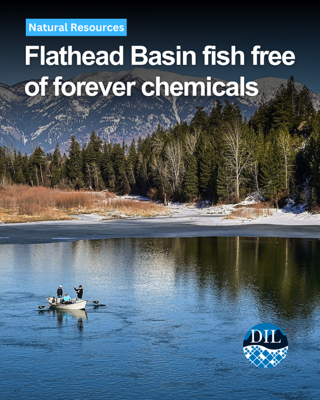 Flathead Basin fish free of forever chemicals