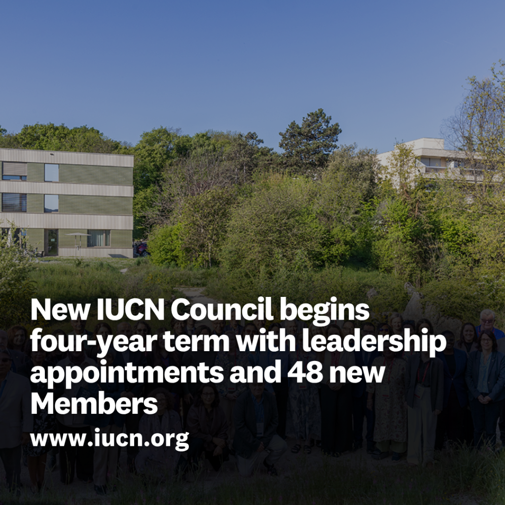 New IUCN Council begins four-year term with leadership appointments and 48 new Members