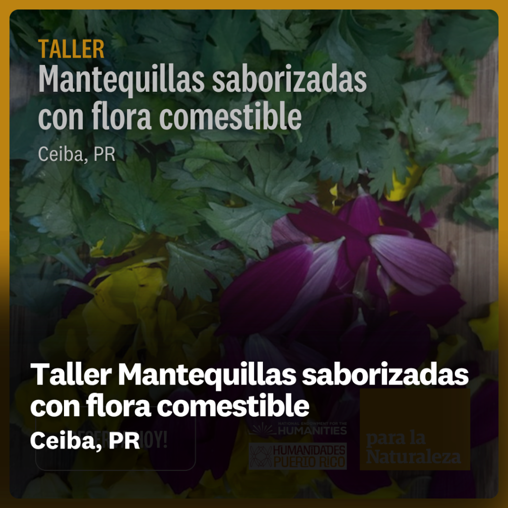 Taller Mantequillas saborizadas con flores comestibles