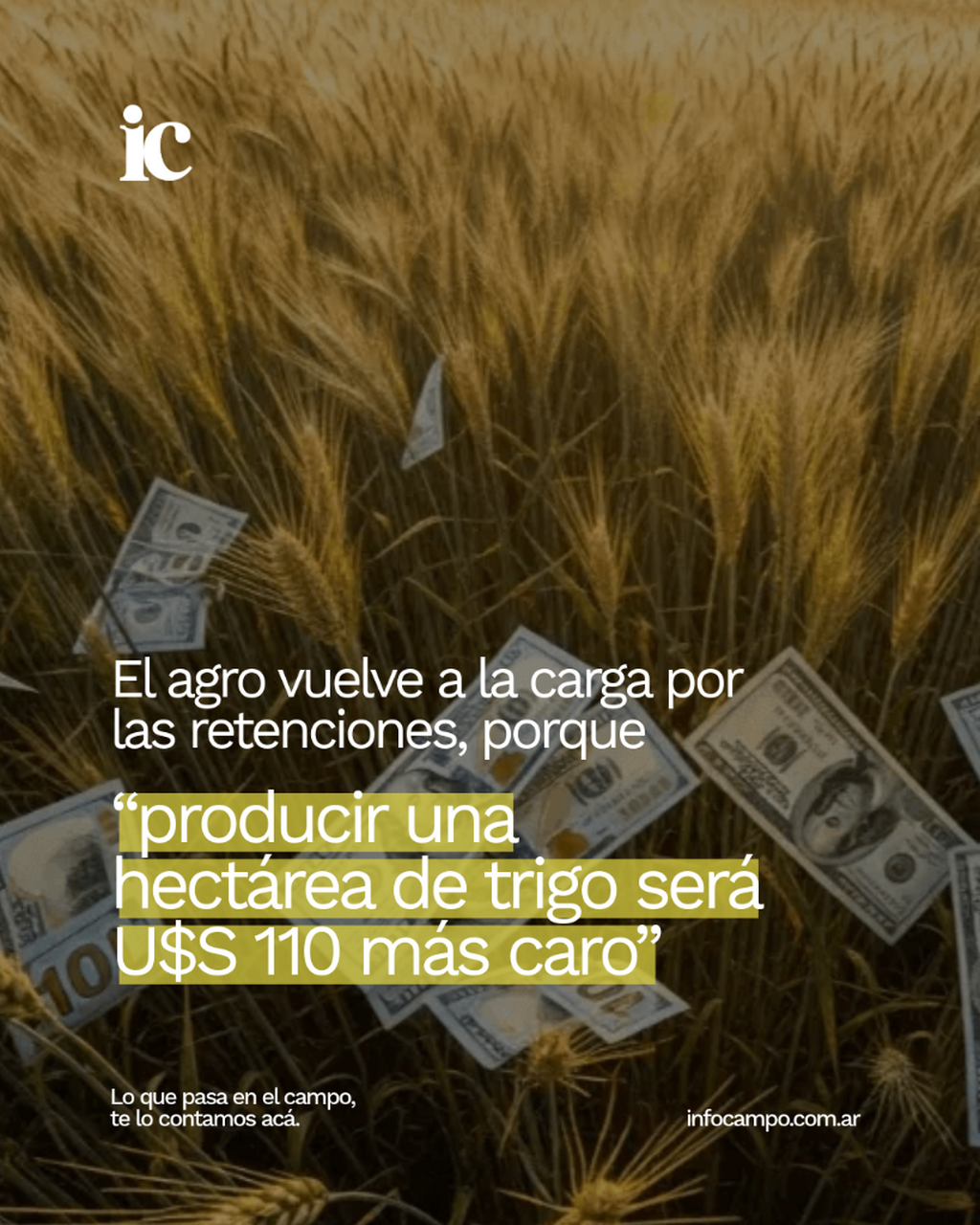 El agro vuelve a la carga por las retenciones, porque &ldquo;producir una hect&aacute;rea de trigo ser&aacute; U$S 110 m&aacute;s caro&rdquo; | Infocampo