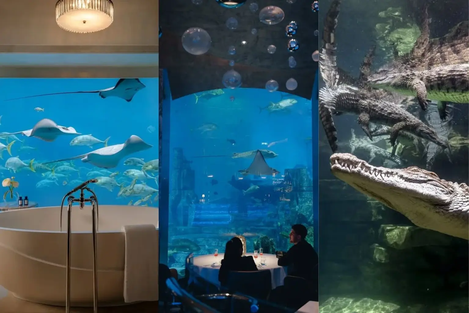 Surreal Aquariums in Dubai That Feel Like Living Inside Atlantis&nbsp;