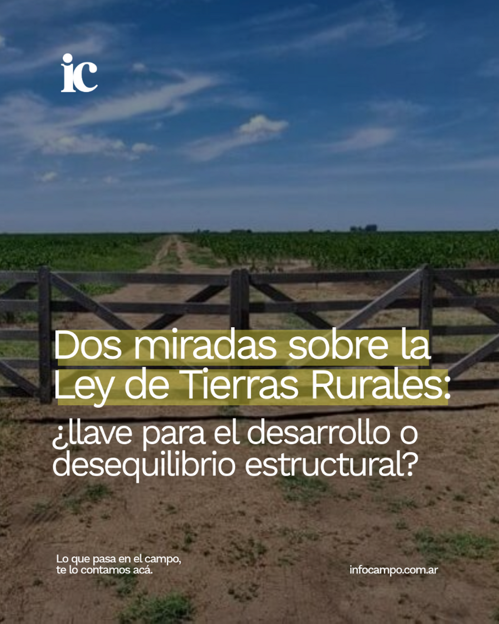 Dos miradas sobre la Ley de Tierras Rurales: &iquest;llave para el desarrollo o desequilibrio estructural? | Infocampo